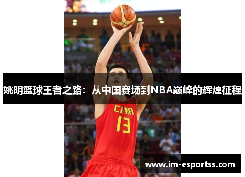 姚明篮球王者之路：从中国赛场到NBA巅峰的辉煌征程