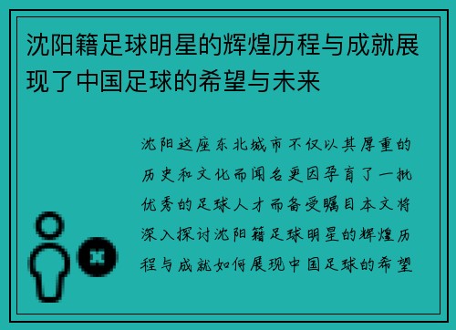 沈阳籍足球明星的辉煌历程与成就展现了中国足球的希望与未来