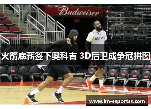 火箭底薪签下奥科吉 3D后卫成争冠拼图